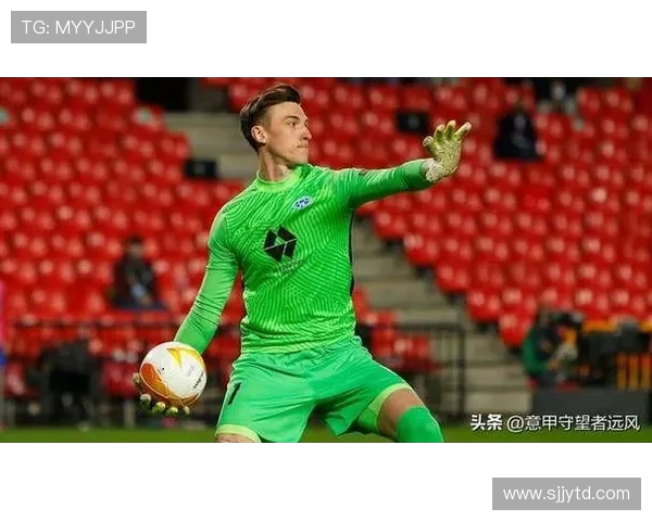 埃尔夫斯对赫根精彩直播全程回顾与赛后分析